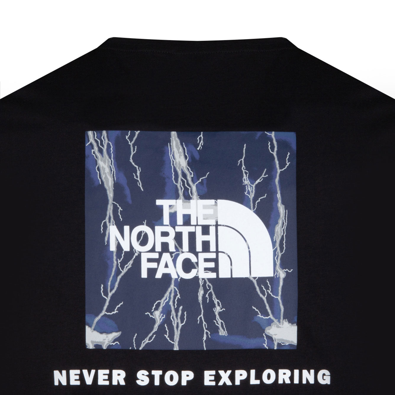 THE NORTH FACE Classic Cotton T-Shirt for Men
