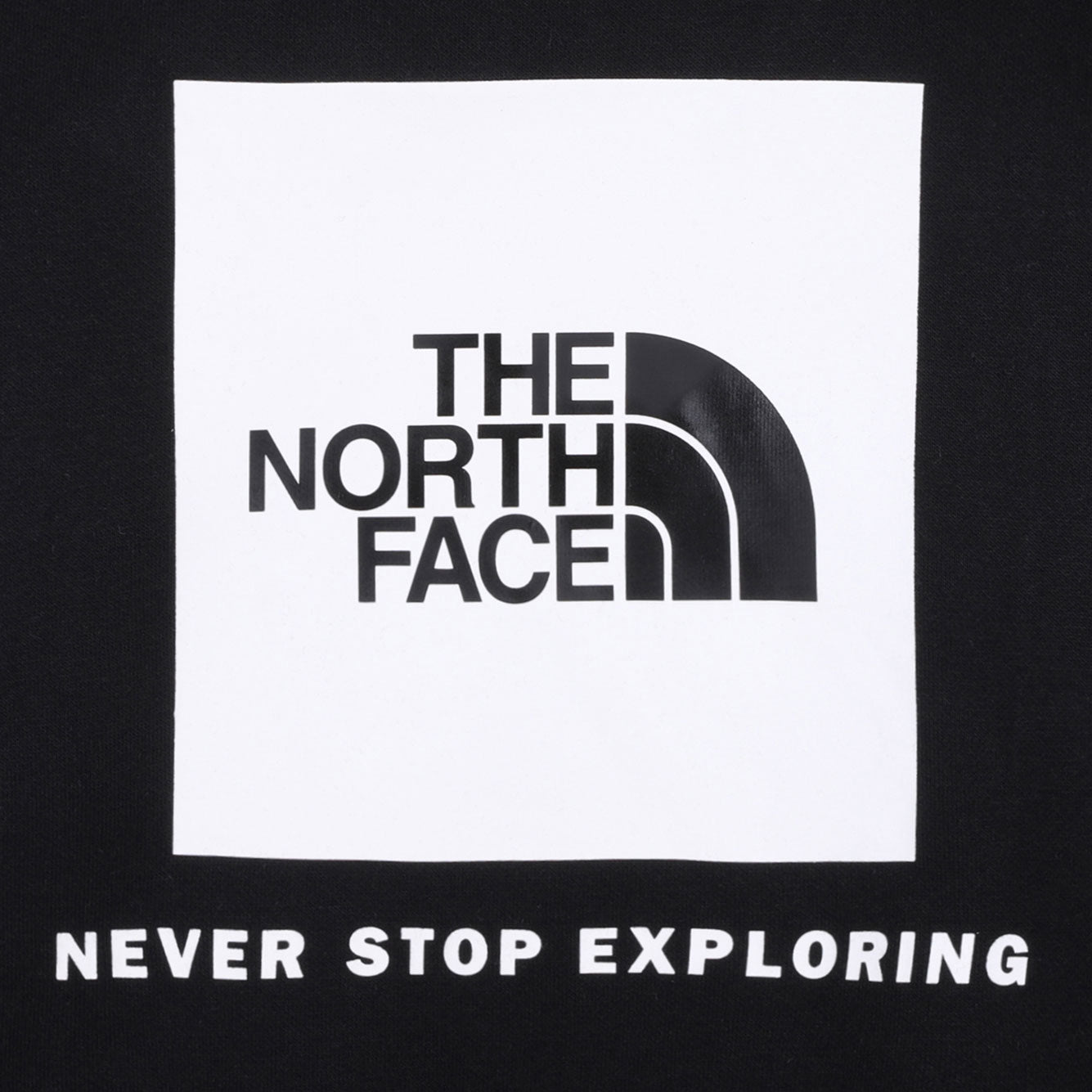 THE NORTH FACE Classic Cotton Coat for Men